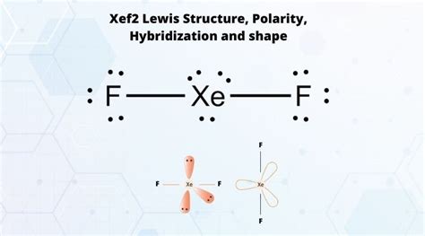 F2 Lewis Structure, Molecular Geometry, Hybridization, .
